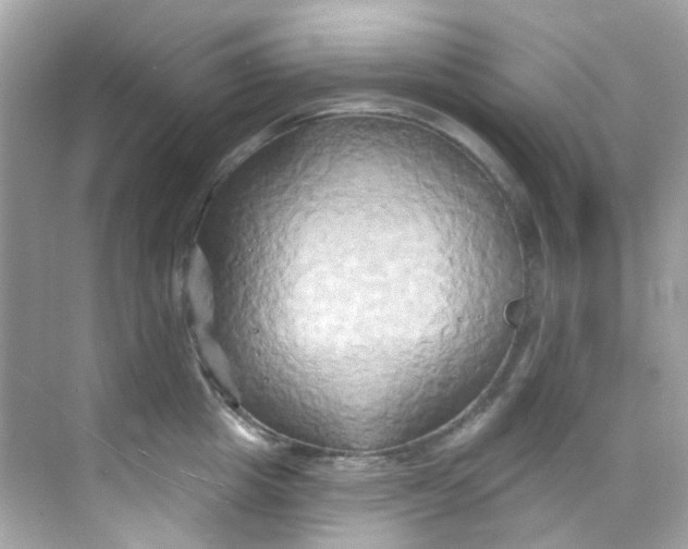 X0000068320857200605122054