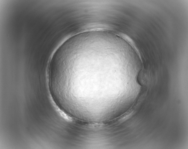 X0000068320859200605122054