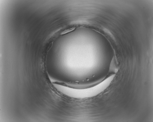 X0000068320872200605122054