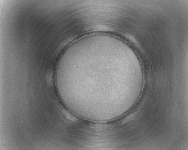 X0000068320873200605122054
