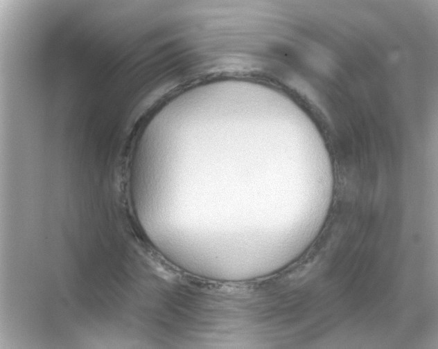 X0000068320874200605122054