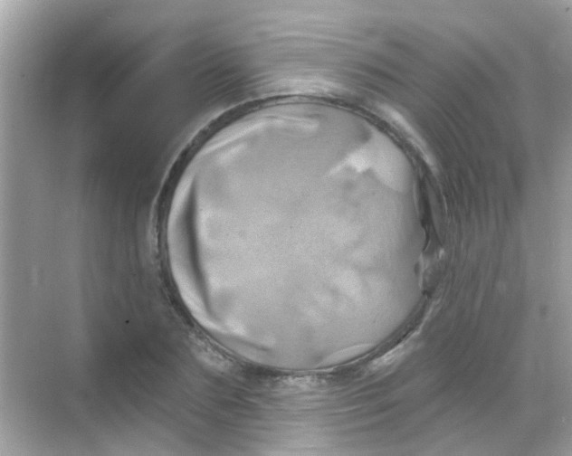 X0000068320883200605122053