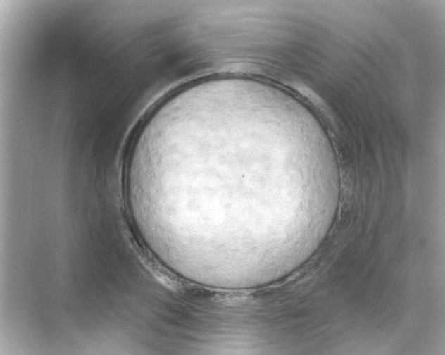 X0000068320886200605122053
