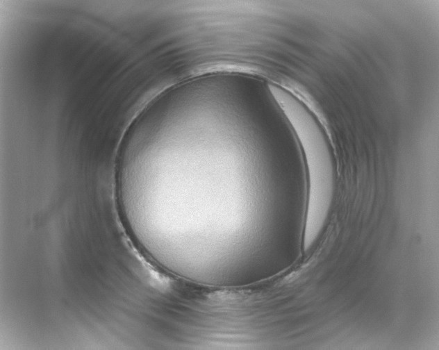 X0000068320898200605122053