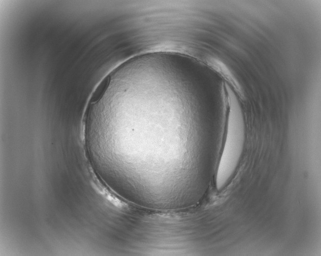 X0000068320900200605122053