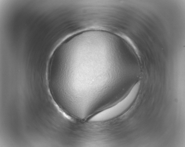 X0000068320910200605122053