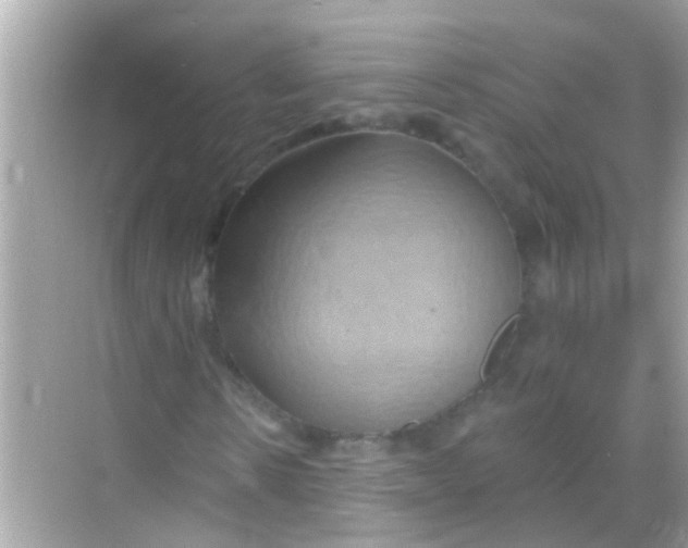 X0000068320914200605122052