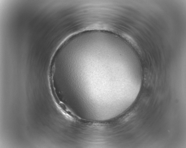 X0000068320942200605122053