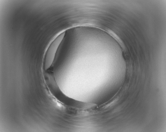 X0000068320956200605122053