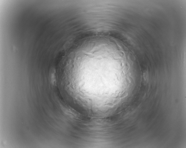 X0000068320963200605122052