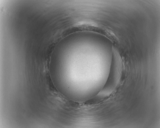X0000068320965200605122052