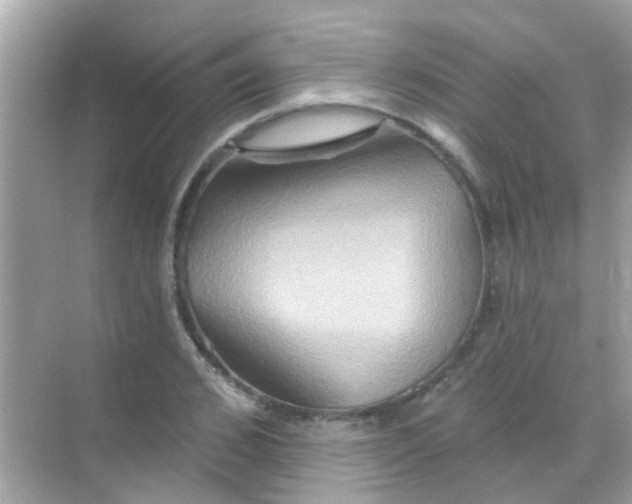 X0000068320976200605122052