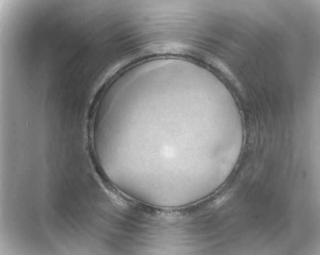 X0000068320978200605122052