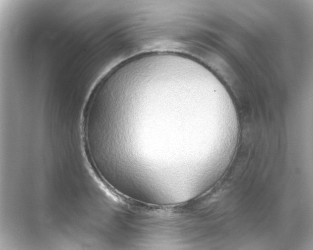 X0000068320990200605122052