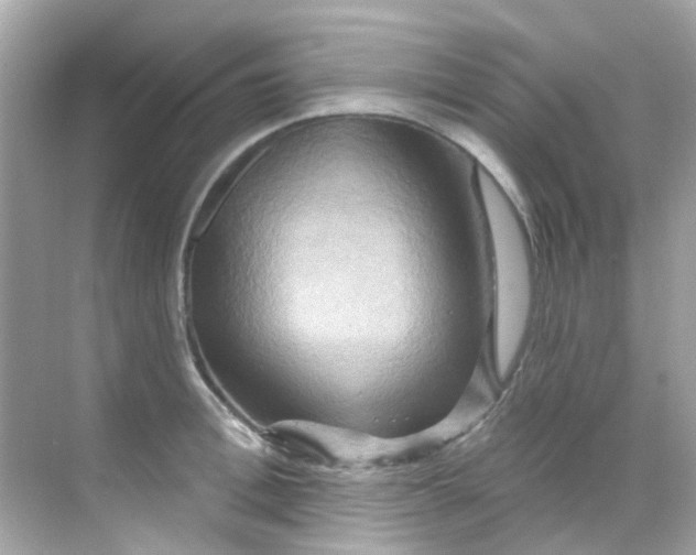 X0000068320996200605122052