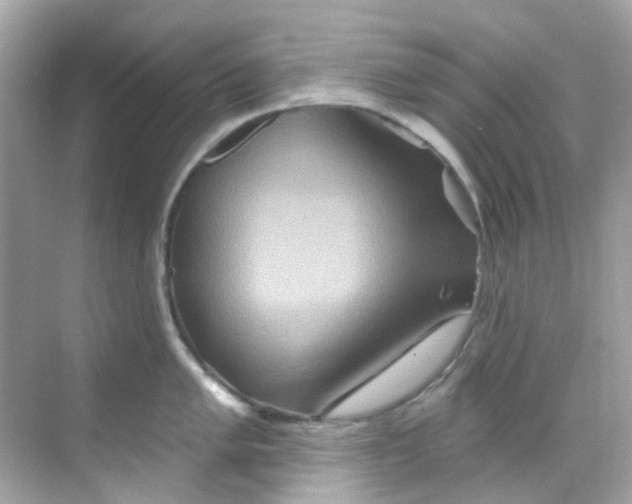 X0000068321005200605122051