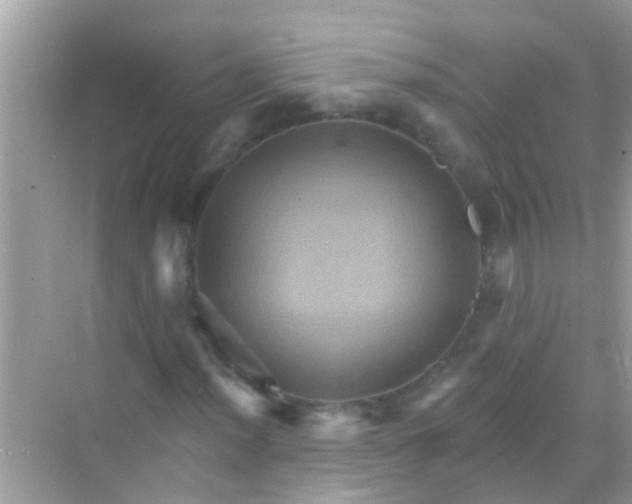 X0000068321012200605122051