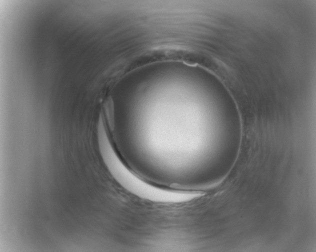 X0000068321014200605122051