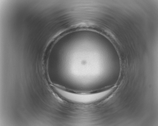 X0000068321018200605122051