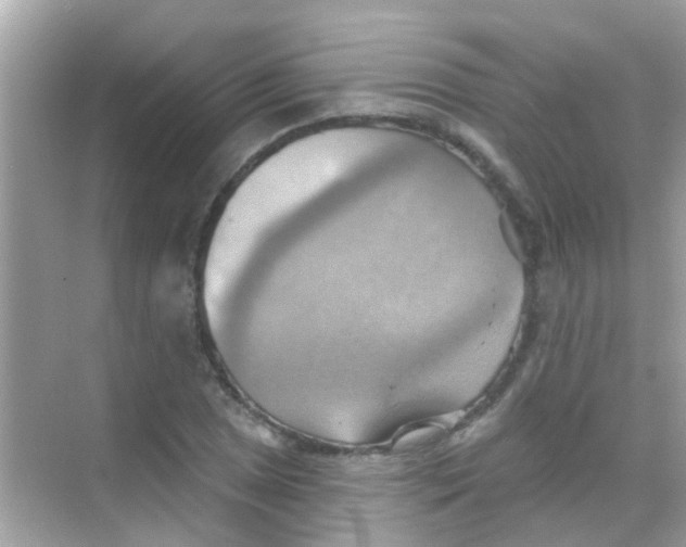 X0000068321025200605122051