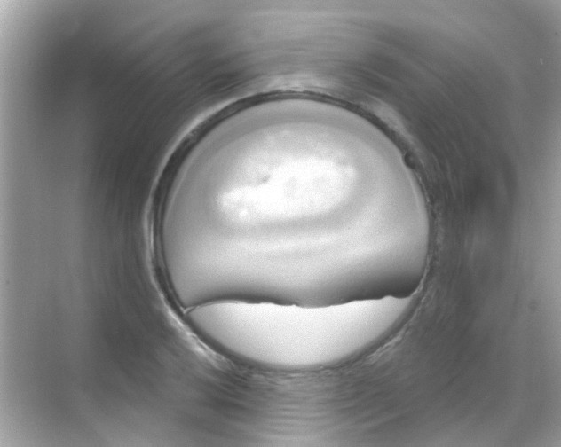 X0000068321032200605122051