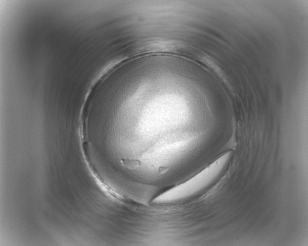 X0000068321034200605122051