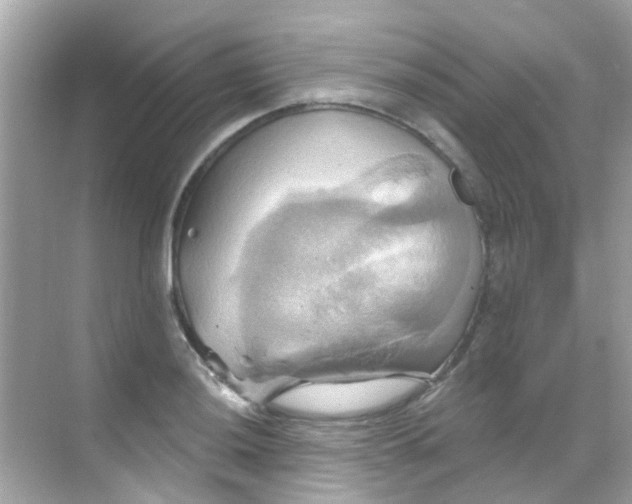 X0000068321036200605122051