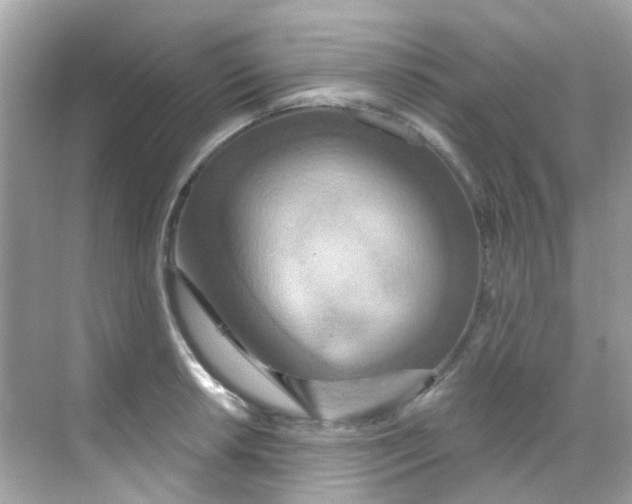 X0000068321042200605122051