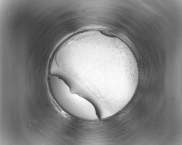 X0000068321044200605122051