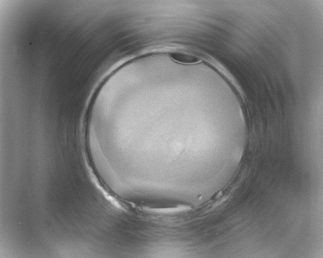 X0000068321053200605122051