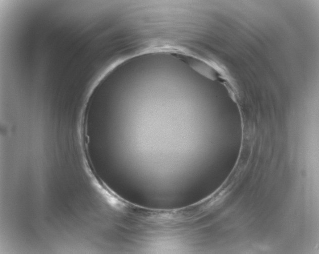 X0000068321054200605122051