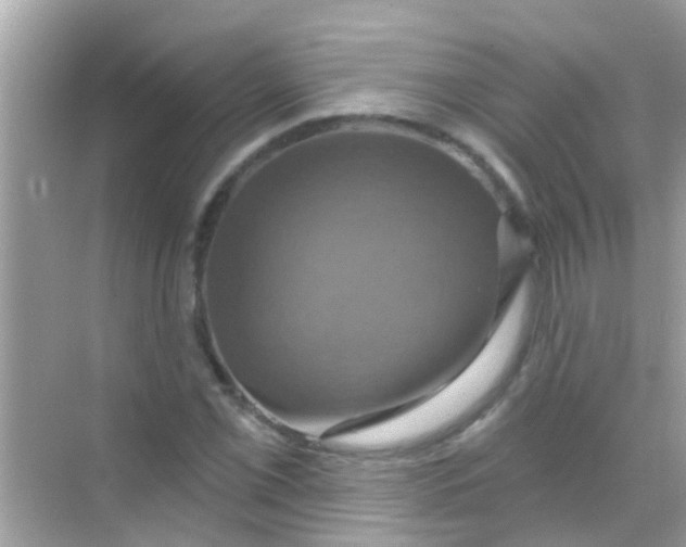 X0000068321069200605122050