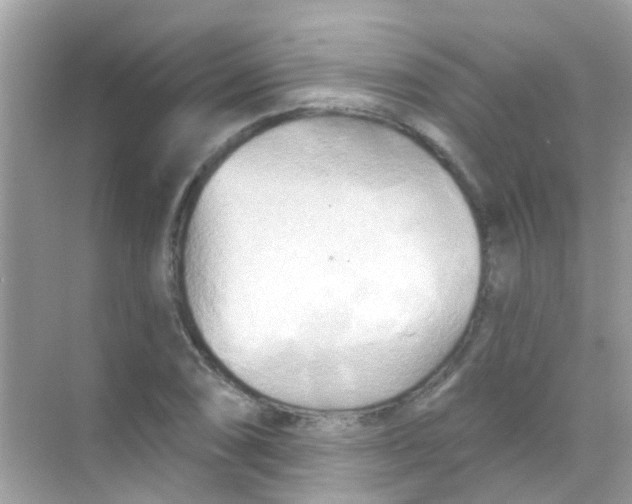 X0000068321074200605122050
