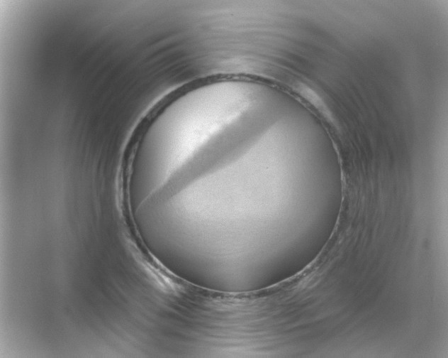 X0000068321076200605122050