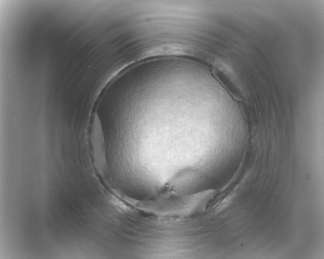 X0000068321081200605122050
