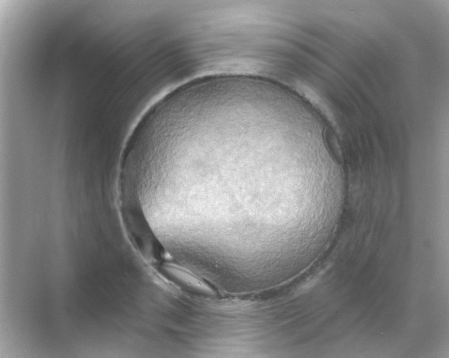 X0000068321085200605122050