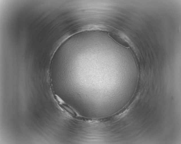X0000068321089200605122050