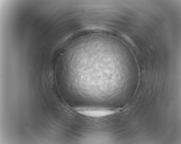 X0000068321111200605122049