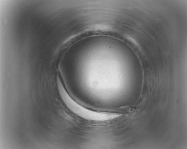 X0000068321112200605122049