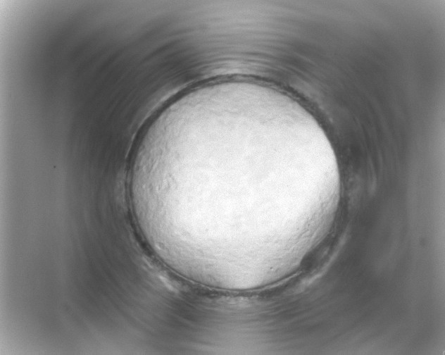 X0000068321121200605122049