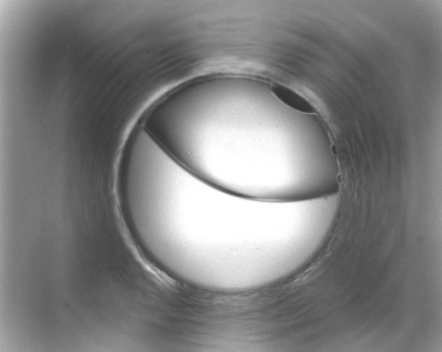 X0000068321128200605122049