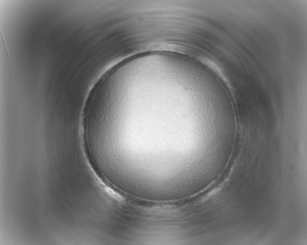 X0000068321133200605122049