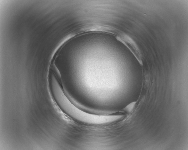 X0000068321138200605122049