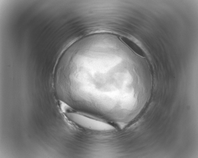 X0000068321145200605122050