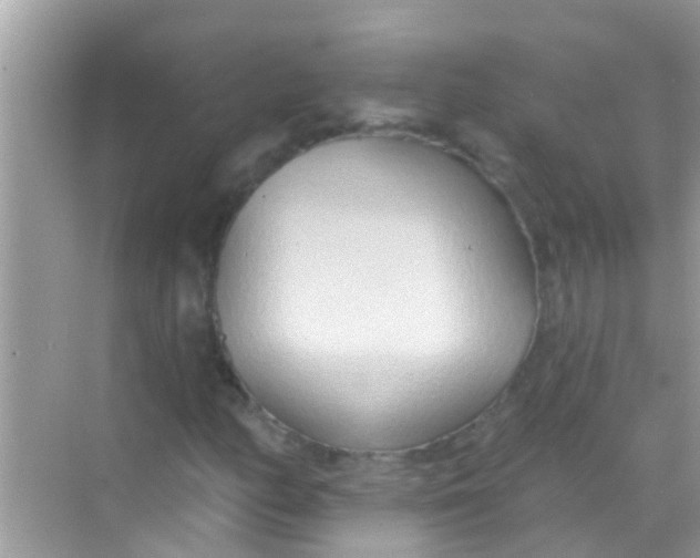 X0000068321158200605122049