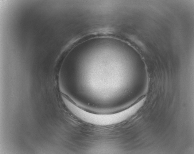 X0000068321160200605122049
