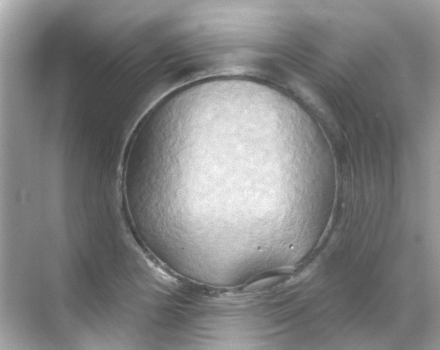 X0000068321178200605122048