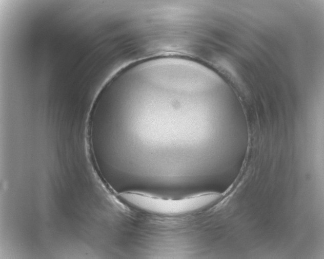 X0000068321182200605122048