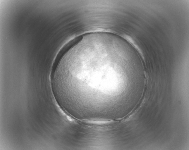 X0000068321189200605122048