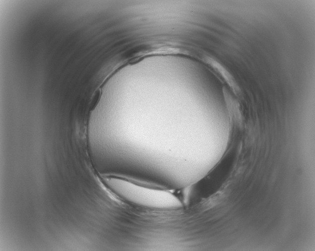 X0000068321193200605122048
